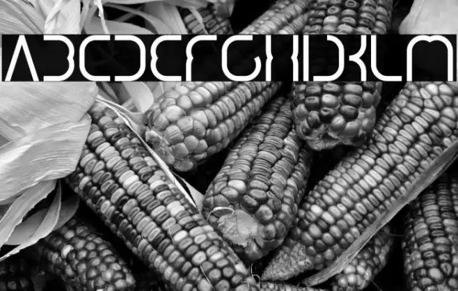 DigitalManBold-Bold Font examples