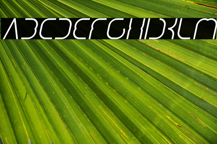 DigitalManItalic-Italic Example 3