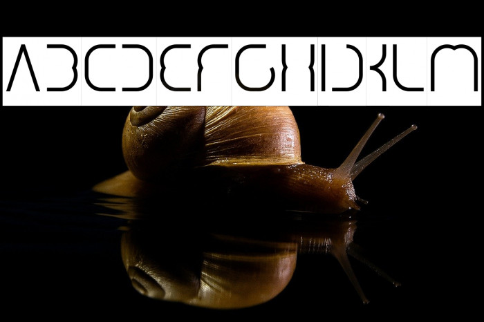 DigitalMan_Inverse Example 1