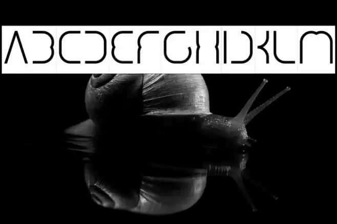 DigitalMan_Inverse Font examples