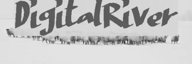 DigitalRiver Font examples