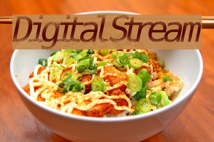 DigitalStream Font examples