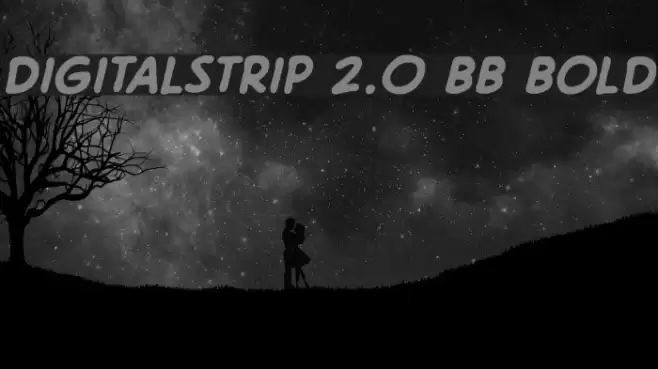DigitalStrip 2.0 BB Bold Font examples