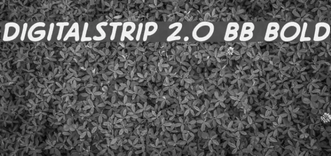 DigitalStrip 2.0 BB Bold Font examples