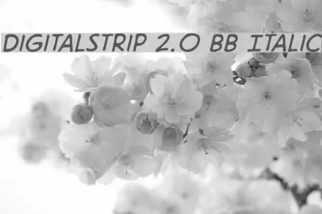 DigitalStrip 2.0 BB Italic Font examples