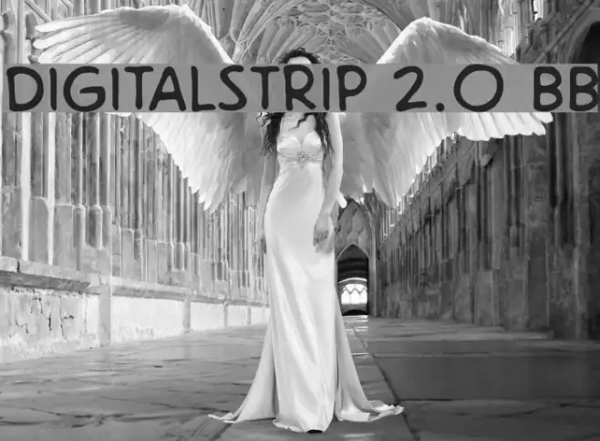 DigitalStrip 2.0 BB Example 2