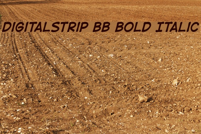 DigitalStrip BB Bold Italic Font examples