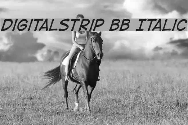 DigitalStrip BB Italic Example 2