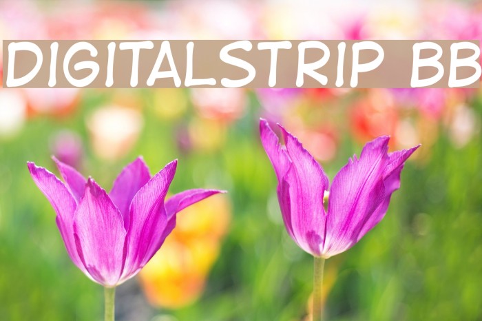 DigitalStrip BB Font examples