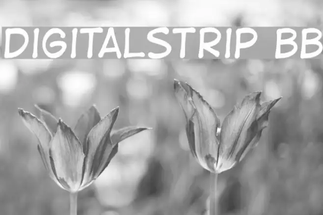 DigitalStrip BB Example 3