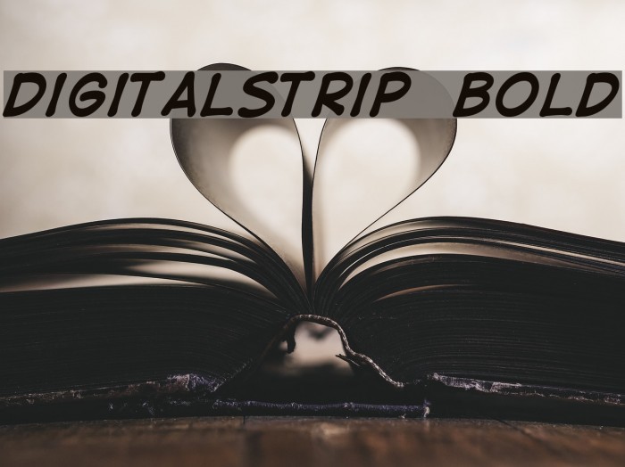 DigitalStrip Bold Font examples