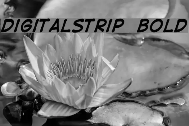 DigitalStrip  Bold Example 3