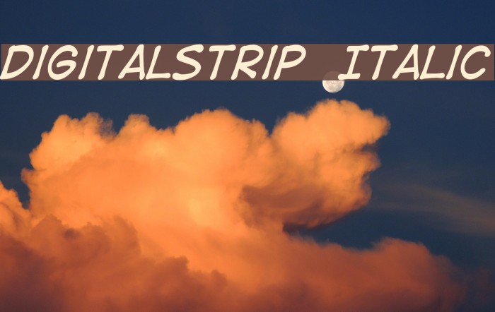 DigitalStrip Italic Font examples