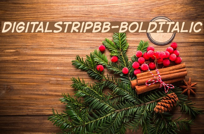 DigitalStripBB-BoldItalic Font examples