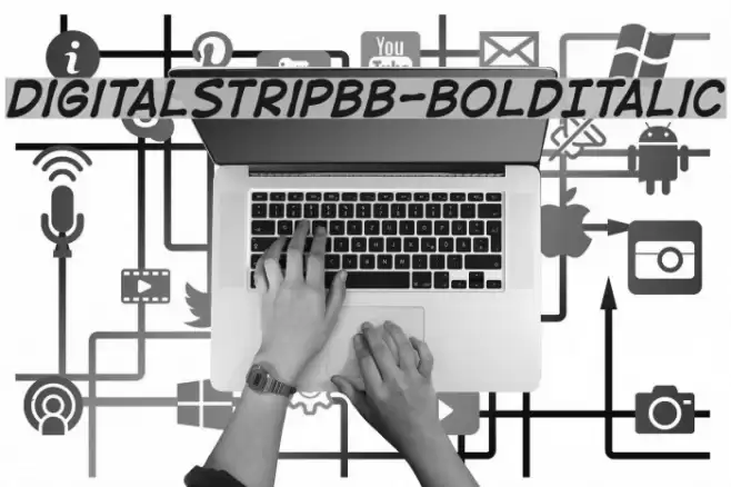 DigitalStripBB-BoldItalic Font examples