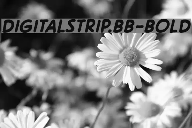 DigitalStrip.BB-Bold Font examples