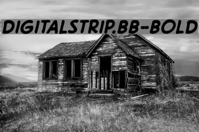DigitalStrip.BB-Bold Font examples