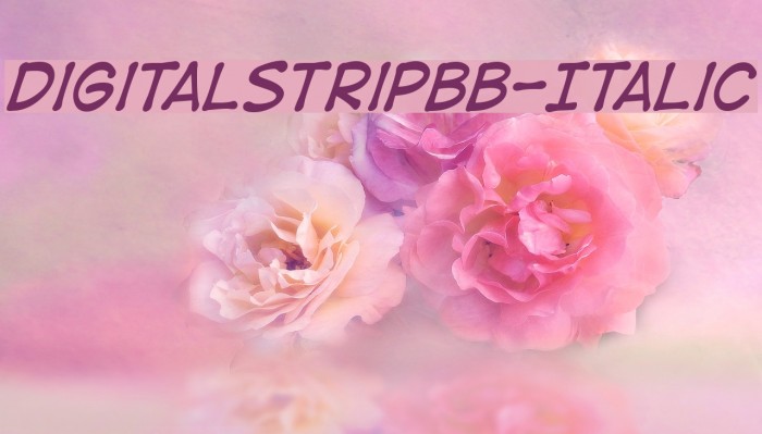 DigitalStripBB-Italic Font examples
