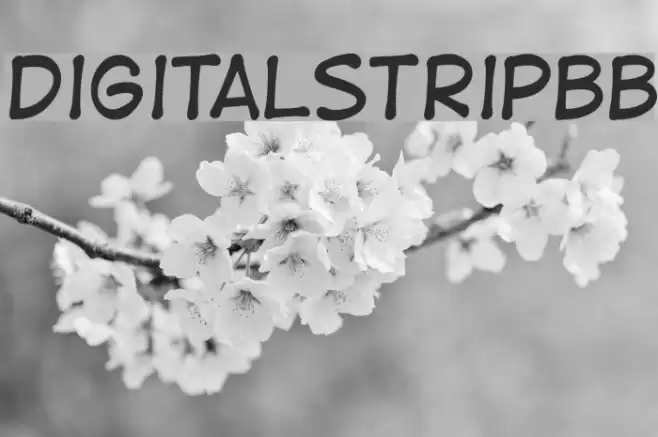 DigitalStripBB Font examples