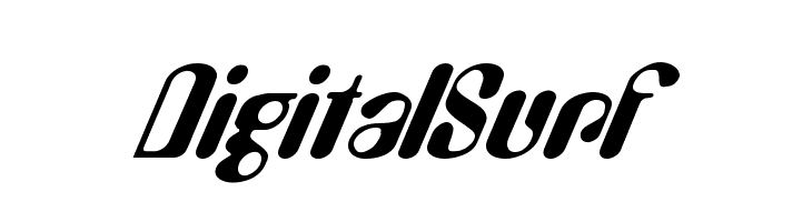 DigitalSurf Font
