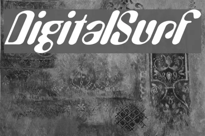 DigitalSurf Example 1