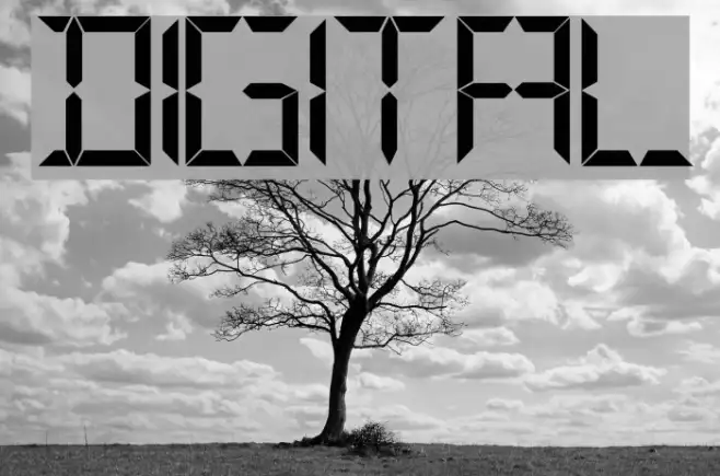 Digital Example 2