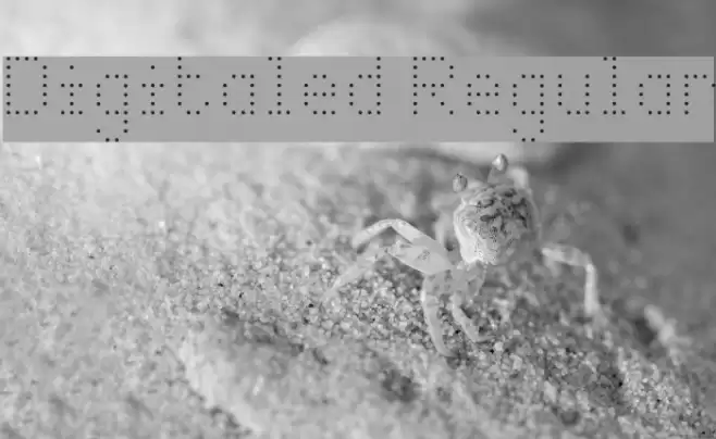 Digitaled Regular Font examples