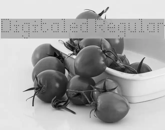 Digitaled Regular Font examples