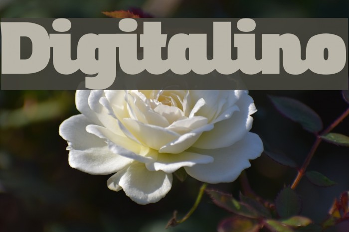 Digitalino Font examples
