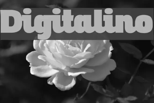 Digitalino Example 1