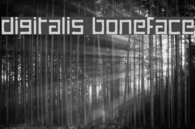 Digitalis Boneface フォント examples