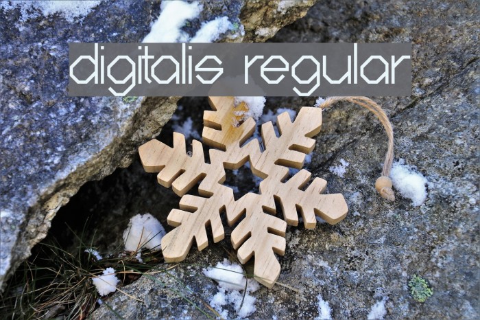 Digitalis Regular Font examples