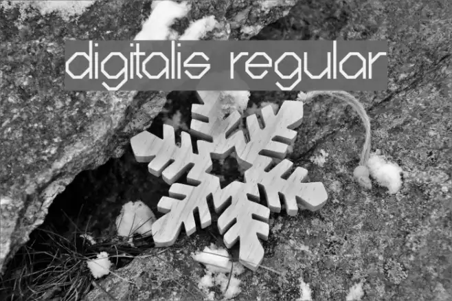 Digitalis Regular Example 1