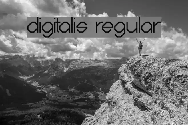 Digitalis Regular Example 3
