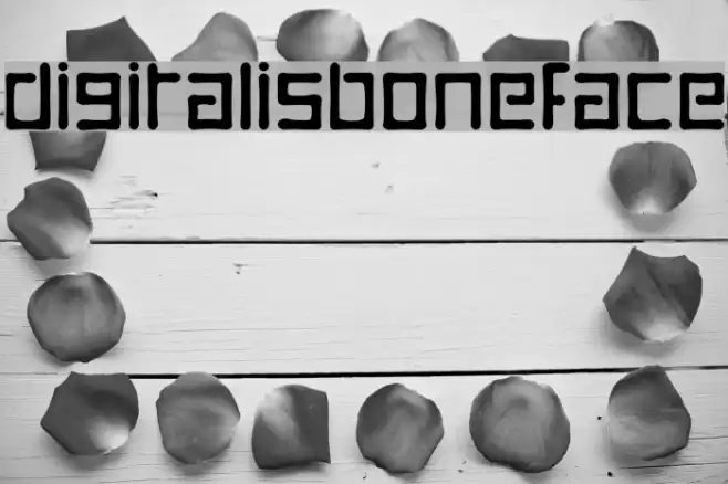 DigitalisBoneface フォント examples