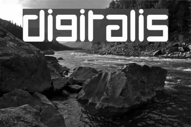 Digitalis フォント examples