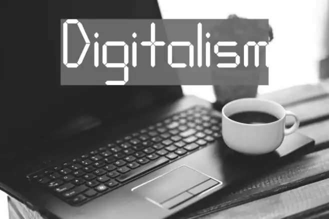 Digitalism Example 1