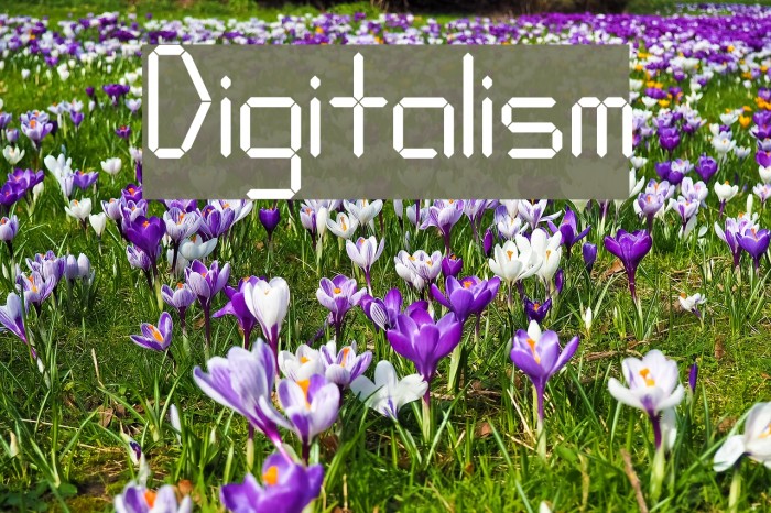 Digitalism Font examples