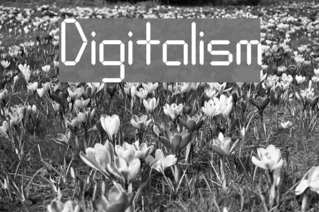Digitalism Example 2