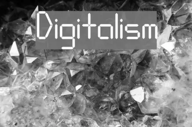 Digitalism Example 3