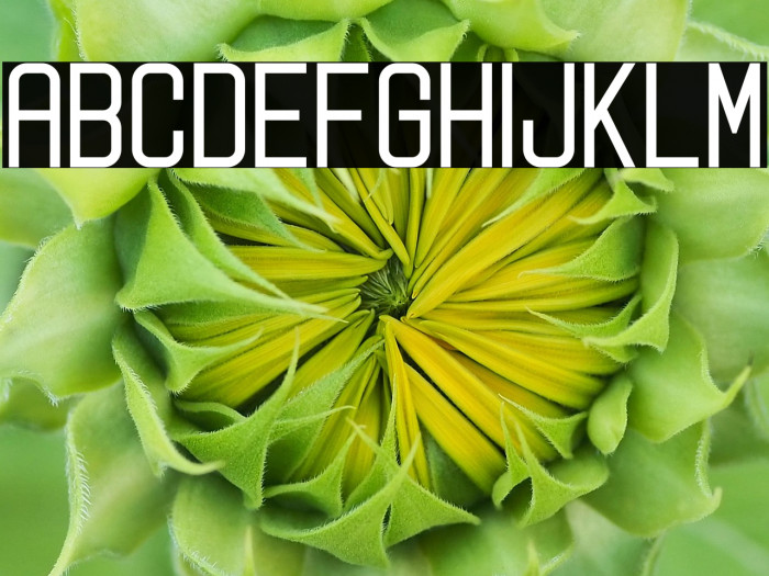 Digitalo Personal Use Example 1