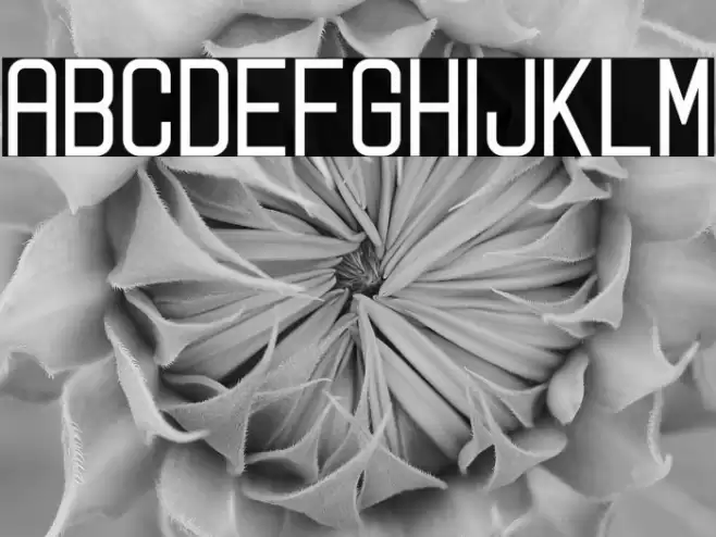 Digitalo Personal Use Font examples