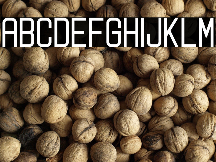 Digitalo Personal Use Example 2