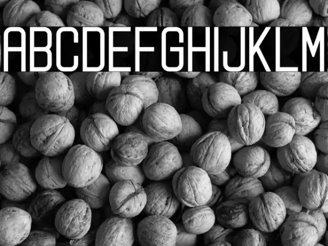 Digitalo Personal Use Font examples