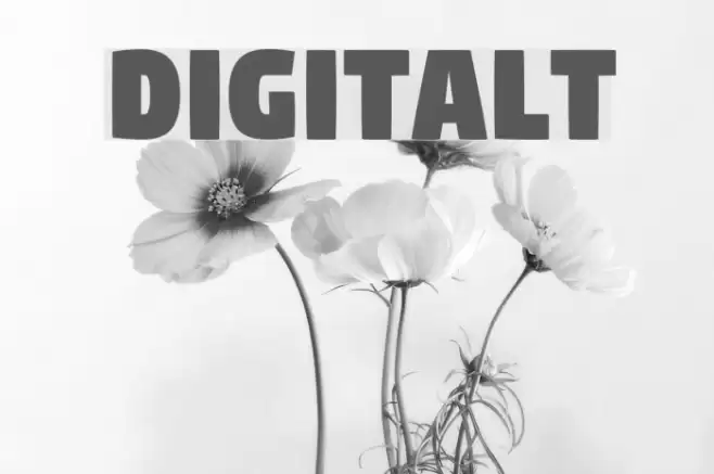 Digitalt Font examples