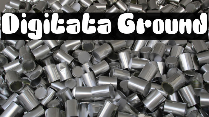 Digitata Ground Example 1