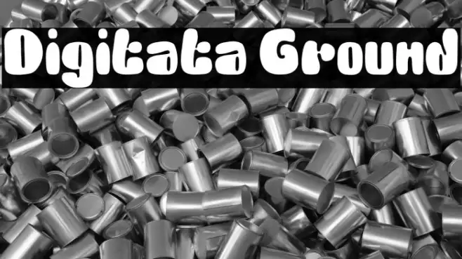 Digitata Ground Example 1