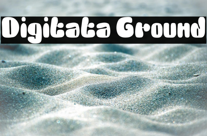 Digitata Ground Example 2
