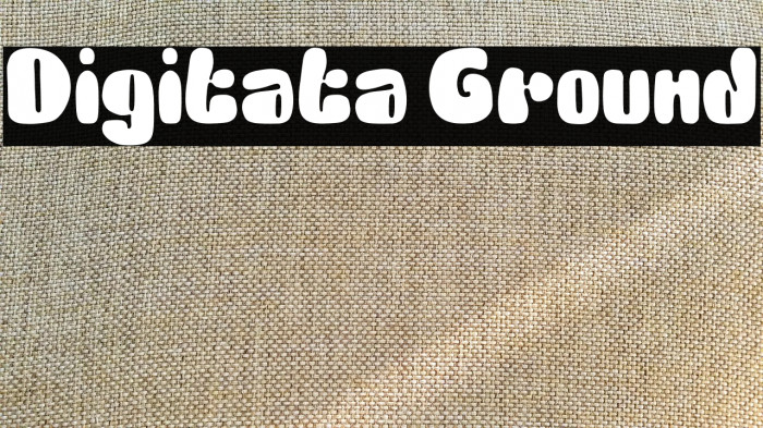 Digitata Ground Example 3