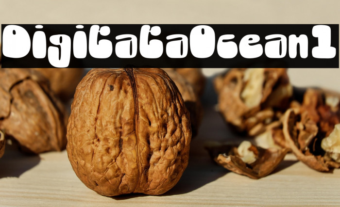 Digitata Ocean1 Example 3